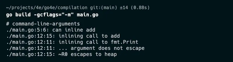 Shows output of a go build command with the -m gcflag